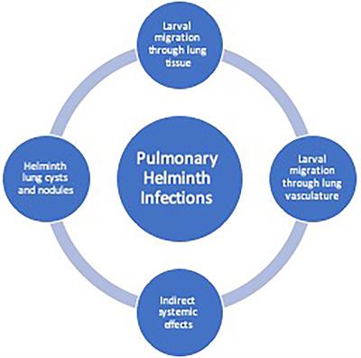 Host Immunity and Inflammation to Pulmonary Helminth Infections